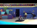 Clyde And Seamore Take Pirate Island Seaworld Orlando Full Show In HD