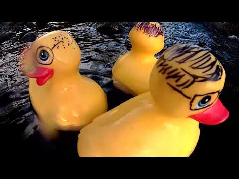 BILGE PUMP - Gondwana Girl (Official Video)