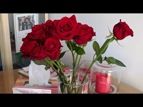 ARCHIELUXURY LIVESTREAM - Friends and enemies are revealed in tragedy