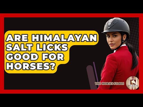 Are Himalayan Salt Licks Good For Horses? - The Horses Stable