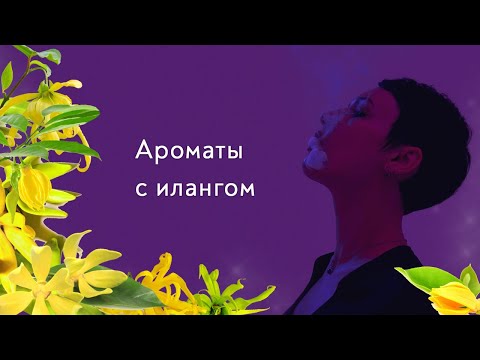Ароматы с илангом. Новинка от Juliette Has A Gun