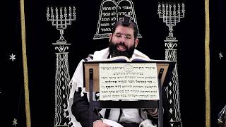 הוריות דף ה' ע''ב ¤ הרב נתנאל אברז'ל ¤ בית הכנסת "בית מרדכי" (מוסדות תורת דוד) - התמונה מוצגת ישירות מתוך אתר האינטרנט יוטיוב. זכויות היוצרים בתמונה שייכות ליוצרה. קישור קרדיט למקור התוכן נמצא בתוך דף הסרטון