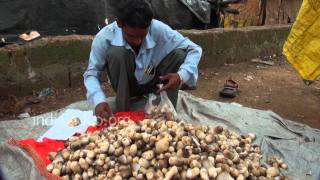 Mushrooms on sale, Bhubaneswar 
