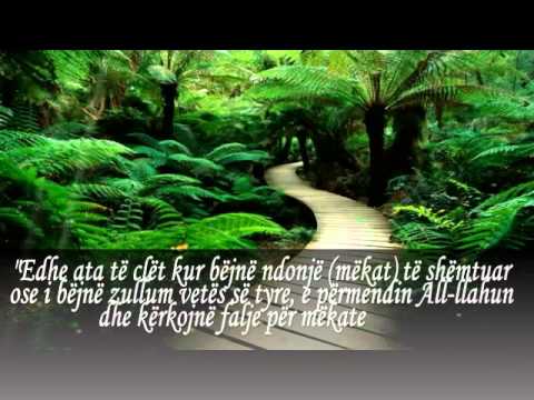 Kjo është rruga për Xhennet