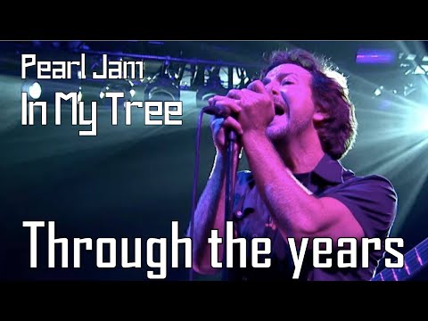 Pearl Jam - In My Tree | Through the Years