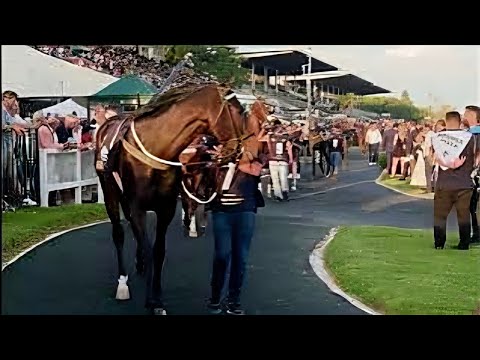 Gran Premio Carlos Pellegrini (G1) 2025.- Ganador Obataye (Brasil), previa.-