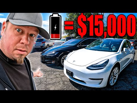 No One Is Telling You The TRUTH ABOUT TESLA, So I Have To