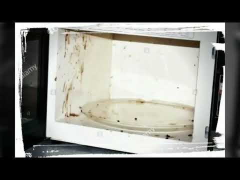 Cleaning dirty microwave / Blue Printing Dreams