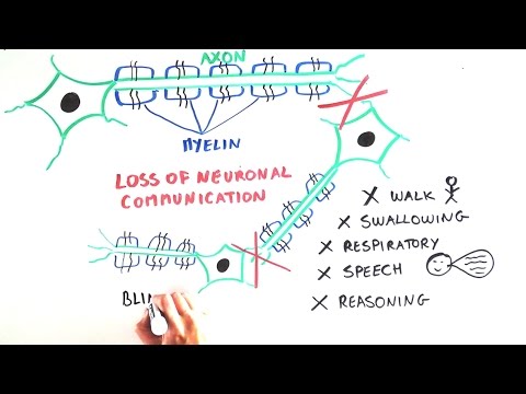 WAS IST MLD? Metachromatische Leukodystrophie – einfach erklärt