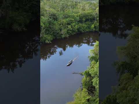 Puerto Leguízamo Putumayo… el único municipio en Colombia que tiene temporada de avistamiento delfín