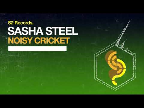 Sasha Steel - Noisy Cricket