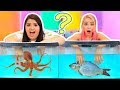 WHAT'S IN THE BOX CHALLENGE - UNDERWATER EDITION ft. Wengie WHAT'S IN THE BOX CHALLENGE - UNDERWATER EDITION ft. Wengie