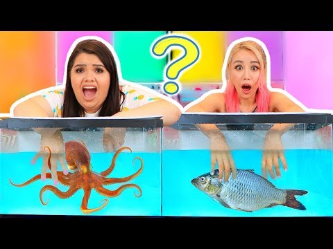 WHAT'S IN THE BOX CHALLENGE - UNDERWATER EDITION ft. Wengie Video