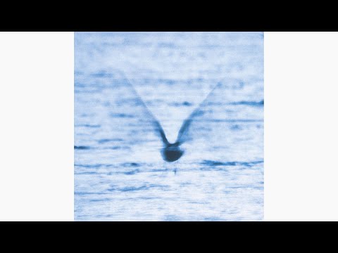 Ryo Fukui (福居良) - Mellow Dream (メロードリーム) 1977