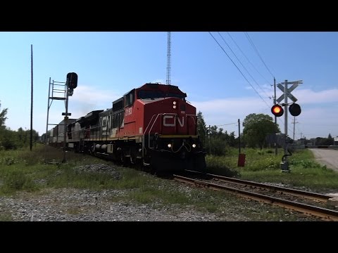 CN 2193 at Vandorf (04SEP2015)