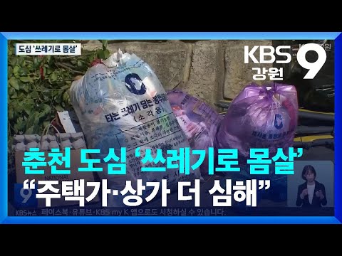 춘천도심, 쓰레기로 몸살