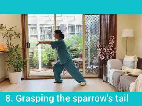 8 Form Tai Chi for Beginners