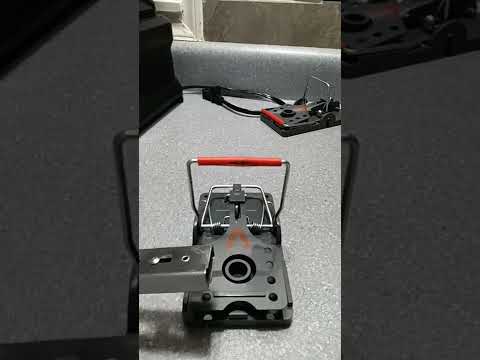 Power-kill rat trap review