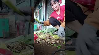 Manguha tayo guys gabi nakaka miss kumain #ofwintaiwan