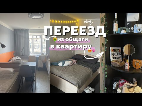 переезд из лакшери общаги в однушку ????|| никогда не живите в общежитии вшэ