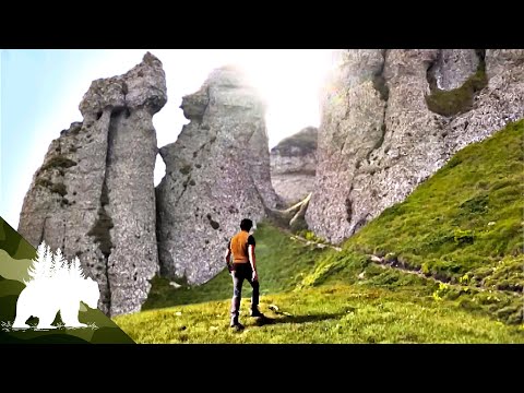 Wild Carpathia: A Journey Through Europe's Last True Wilderness | Complete Series