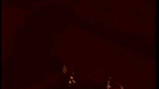 Monkey See, Monkey Do