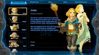 All Zelda Characters Profiles in Zelda Tears of the Kingdom (2023)