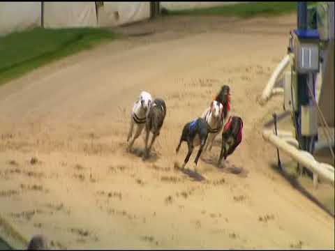 2017 CHAMPIONS NIGHT STANDARD FINAL - T1 WUHEIDA