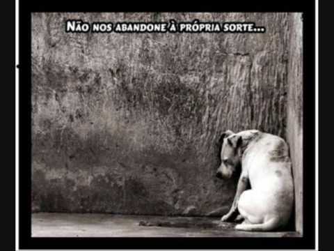 mc poneis beija flor