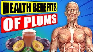 Download lagu 13 Amazing Health Benefits of Plums That Will Surprise You mp3 Download lagu 13 Amazing Health Benefits of Plums That Will Surprise You mp3