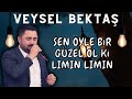 VEYSEL BEKTAŞ - SEN ÖYLE BİR GÜZEL OL Kİ LIMIN LIMIN & GELİN GELİN NE DİYİM