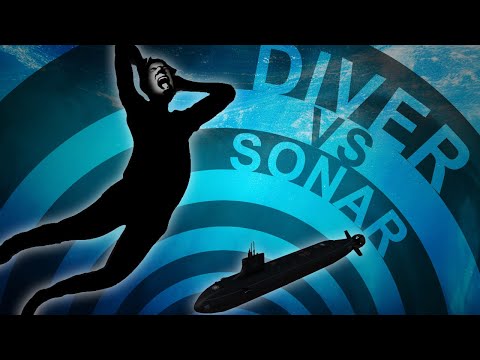 What Happens if You’re Hit by Sonar?