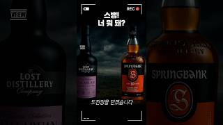 “3만 원짜리가 감히 30만 원에 덤볐습니다" #위스키 #달라루안 #스프링뱅크 #위스키리뷰