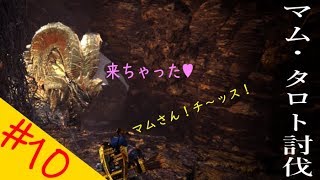 【MonsterHunter World】 ゆっくりプレイ #10 マム周回