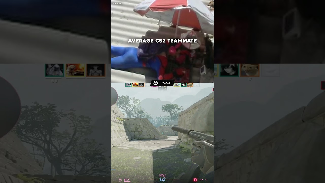 Average CS2 Teammates