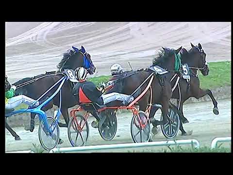 Trotto 28/11/2020 - 5ª corsa