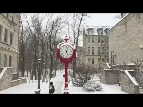 Slow Snow IU