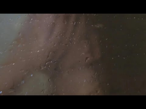 Poncelam - Antojos (Video Oficial)