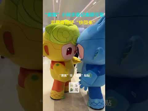 中国語学科 “宸宸”小碎步追记者超可爱 志愿者招呼“快回来”