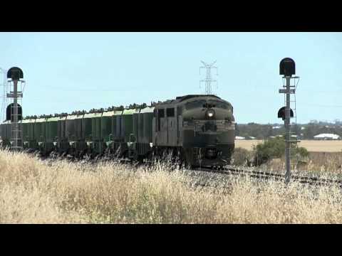Pacific National Cement Train - PoathTV Australian Trains, Railways & Railroads