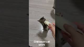 Chill bro it's all yours