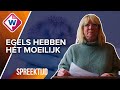 Bladblazers blazen egelnestjes uit elkaar - Spreektijd, OMROEP WEST
