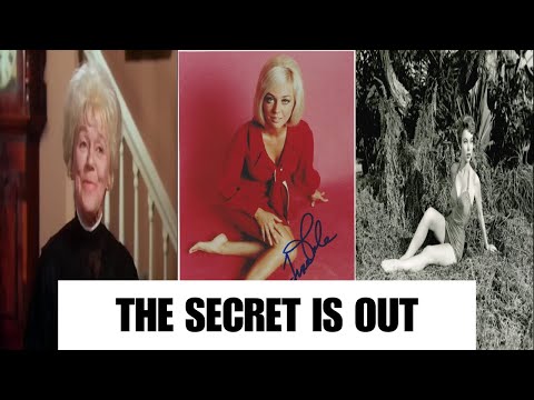 What the REAL STORY behind MY THREE SONS reveals will shock you!