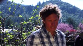 BIODYNAMIC FARMING - THE ORGANIC ROSE