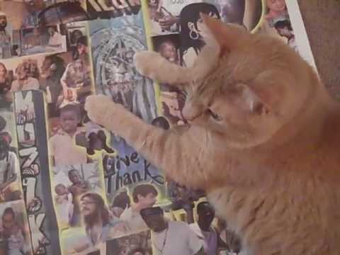 Sun Araw & M. Geddes Gengras Meet The Congos | Icon Give Thanks