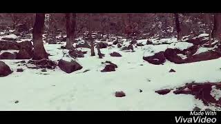 preview picture of video 'Kail  Kashmir snow Road in February'