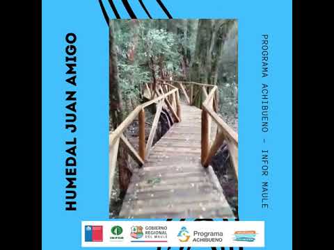 El hermoso sendero inclusivo construido en el Santuario Achibueno