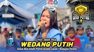 Download lagu WEDANG PUTIH • DEDE TRIA (Bos Tobrut) • ANDI PUTRA 3 • Bos Andi Putra Duwe Gawe mp3 Download lagu WEDANG PUTIH • DEDE TRIA (Bos Tobrut) • ANDI PUTRA 3 • Bos Andi Putra Duwe Gawe mp3