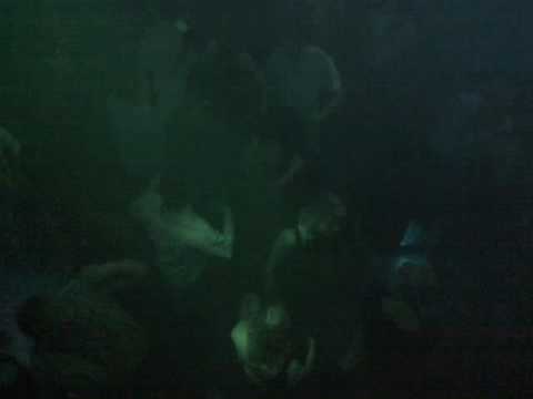 Distorted minds @ Sin City 07.03.2009