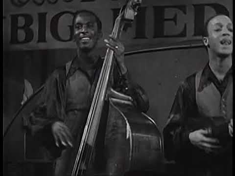 Cats and the Fiddle - Killing Jive